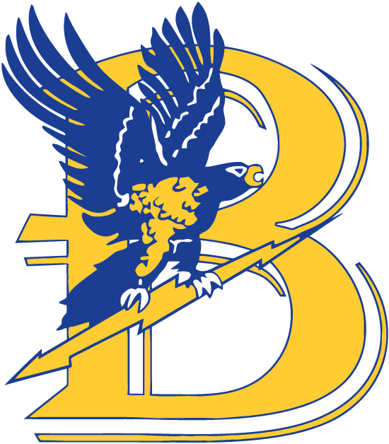 Bentley Falcons 1988-2012 Primary Logo diy iron on heat transfer